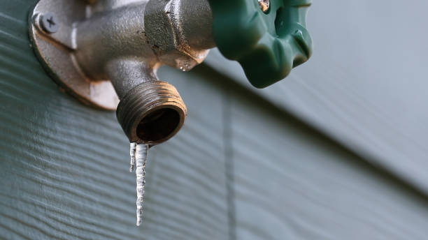 Best Plumbing Inspection Services  in Bourbonnais, IL